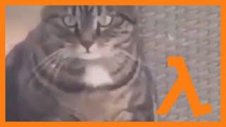 Fat Cat rolls over a bird but it has Half-Life sound effects