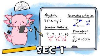 ULTIMATE GUIDE to O Level Math – ALL SEC 1 TOPICS