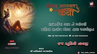 Day 6.2 |  Shreemad Bhagwat Saptah | Hadmatiya | શ્રીમદ ભાગવત સપ્તાહ  | હડમતીયા | Live Katha