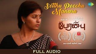 Setthu Pochu Manasu - Full Audio | Peranbu | Mammootty | Yuvan | Anjali | Ram | Sadhana | Madhu Iyer