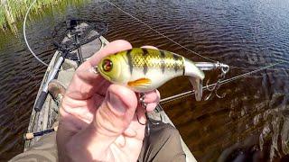 Whopper Ploppin' Spring Pike And Bass!