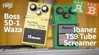 TPS AB Comparisons – Boss SD-1w Super Overdrive & Ibanez TS9 Tube Screamer