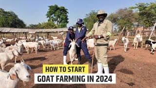 Things You Should Know Before Starting a Goat Farm - How To Start a Goat Farm In 2024