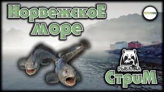 РУССКАЯ РЫБАЛКА 4 (RUSSIAN FISHING 4) - НОРВЕЖСКОЕ МОРЕ. ОБЗОР ОБНОВЛЕНИЯ. СТРИМ.