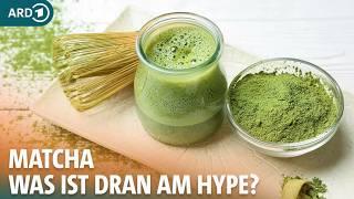 Matcha: Ist Matcha Tee wirklich so gesund? | ARD GESUND