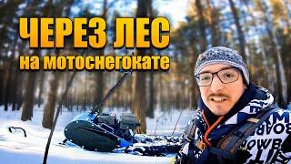 Мотоснегокат Draxter Extreme 20 л.с. в деле! Прорываюсь через глухой лес