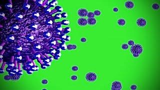 Corona Virus covid-19 Green screen Animated Video , No Copyright