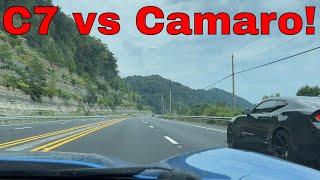 C7 Z51 vs Camaro SS 1LE