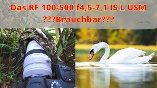 Ist das RF 100-500 f4,5-7,1 IS L USM für die Tierfotografie brauchbar???