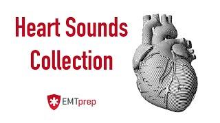 Heart Sounds Collection - EMTprep.com