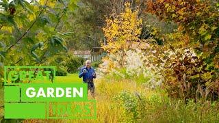 Wild Meadows Garden Walkaround | GARDEN | Great Home Ideas