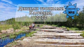 Большой летний поход на велосипедах по диким тропкам Карелии, август 2022