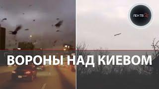 Вороны над Киевом | ВС РФ нанесли удары по Украине | 26 января Киев | Видео