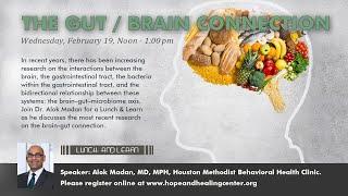 HHCI Seminars – The Gut/Brain Connection