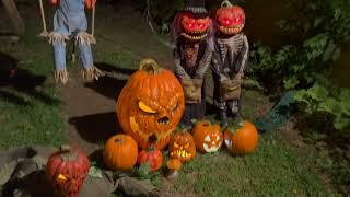 Yard Horrors Presents Petrifying Pumpkin Patch