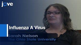 Influenza A Virus Detection and Isolation using Nasal wipes | Protocol Preview