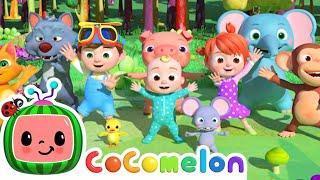 Animal Dance Song! | CoComelon Animal Time | Animal Nursery Rhymes