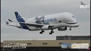 Airbus Beluga XL lands at Heathrow Airport for the very first time