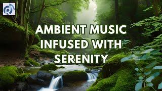 Calm Oasis: Ambient Music Infused with Serenity