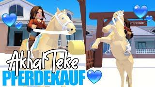 wir kaufen den  Akhal Teke  Horse Valley  Roblox