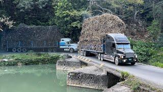 The most dangerous Bridge in Jamaica Flat Bridge \ S2:E2