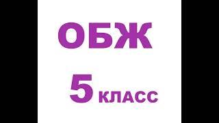 § 6.4 Ответственность несовершеннолетних за антиобщественное поведение