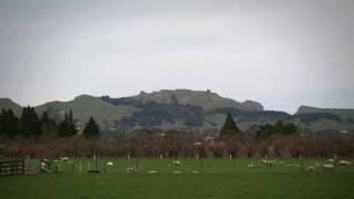 Te Mata Peak, Hawke's Bay giant - Roadside Stories