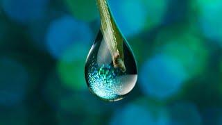 Water Drop Sound Effect | 3D Sound Effects | splash to drips