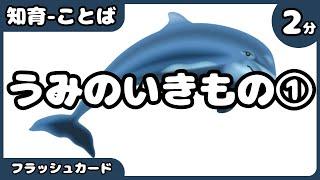 【海の生き物①】【幼児向け】ことばを覚える知育動画 #0歳 #1歳 #2歳 #3歳