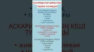 Денсаулыққа пайдалы кеңес