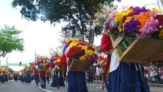 More than 500 flower farmers participate in Colombia’s Flower Festival