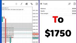 $20 into $1600: My Step-by-Step XAUUSD Guide