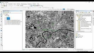 Extract raster values to points in ArcGIS/ ArcMap
