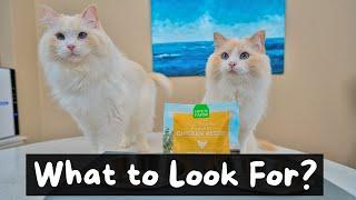 Guide to Buying the Right Cat Food | The Cat Butler