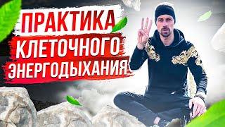 ДЫХАТЕЛЬНАЯ ПРАКТИКА | КЛЕТОЧНОЕ ДЫХАНИЕ | БИОХАКИНГ