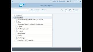 Erste Schritte in SAP S/4HANA, Menübaum, Transaktionscodes