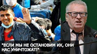 "Если мы не остановим миграцию, они нас уничтожат!" Сбываются предсказания Жириновского о мигрантах