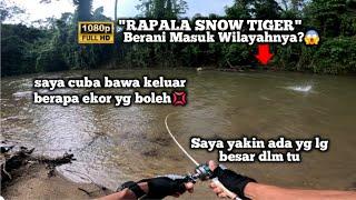 Melihat Kegilaan Ikan Meledak Gewang Permukaan-Pendalaman Jelebu-Rapala Snow Tiger-vlog275