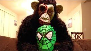 Amazing Green Spiderman vs King Kong in Real Life | Spider-Man Avengers Videos Part 63