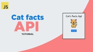 JavaScript API Tutorial : Cat facts app with fetch API  (2020)