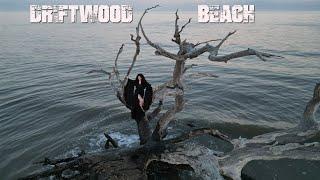 This Place was INCREDIBLE! ... (Driftwood Beach)