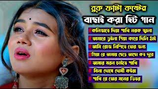 2024 সালের বাছাই করা সুপারহিট কষ্টের গান।New Bangla Superhit Sad Song Album।Js Sojib।দুঃখের গান ।