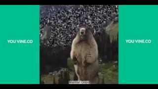 Dank Memes Vine Compilation 2016