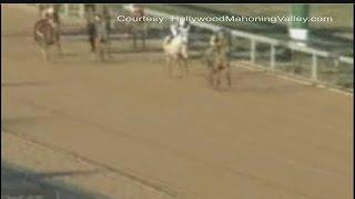 Male horse ran female race at Austintown racino