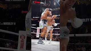 Jake Paul knocked out Mike Tyson  #shorts #jakepaul #miketyson