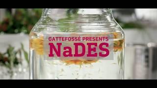 NaDES technology by Gattefossé