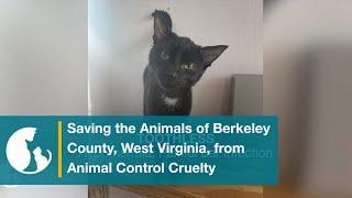 Special Investigation: Saving the Animals of Berkeley County from Animal Control Cruelty