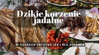 Co można wykopać gdyby nie było co jeść?