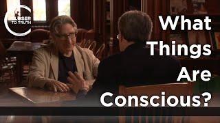 Ned Block - What Things Are Conscious?