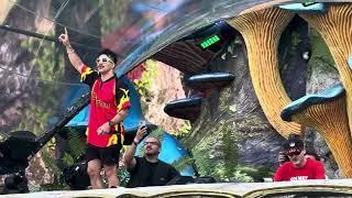 Mammoth | OMDAT HET KAN & AVERAGE ROB | Tomorrowland 2024